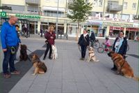 Herrchen und Frauchen mit Hunde bei einem Aufbaukurs im Landkreisen Fürstenfeldbruck in der Hundeschule Amperland